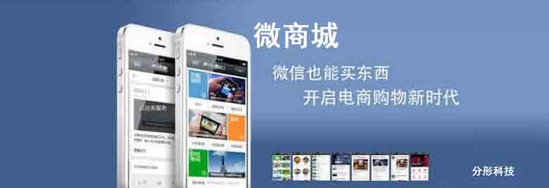 破解微商城網站開發(fā)的步驟